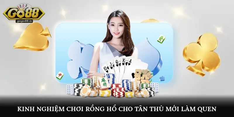 Kinh nghiệm chơi rồng hổ cho tân thủ mới làm quen