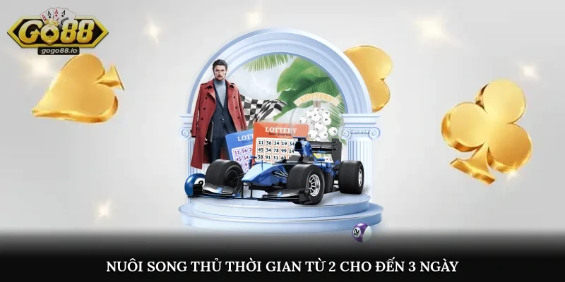Nuôi song thủ thời gian từ 2 cho đến 3 ngày